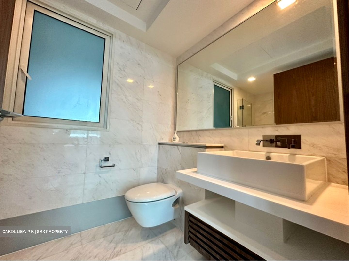Suites At Orchard (D9), Apartment #578686181